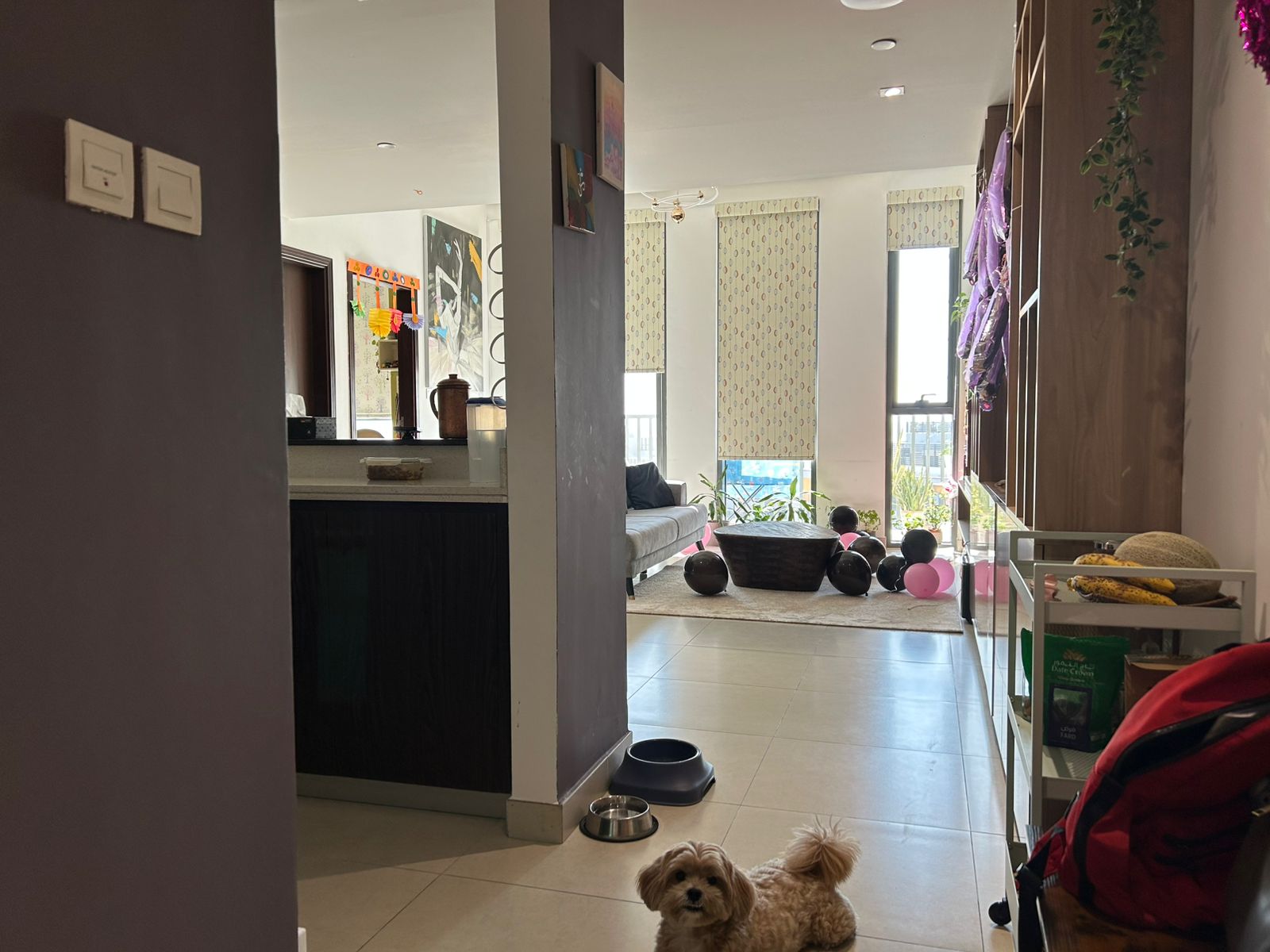 WhatsApp Image 2026-01-21 at 15.12.19