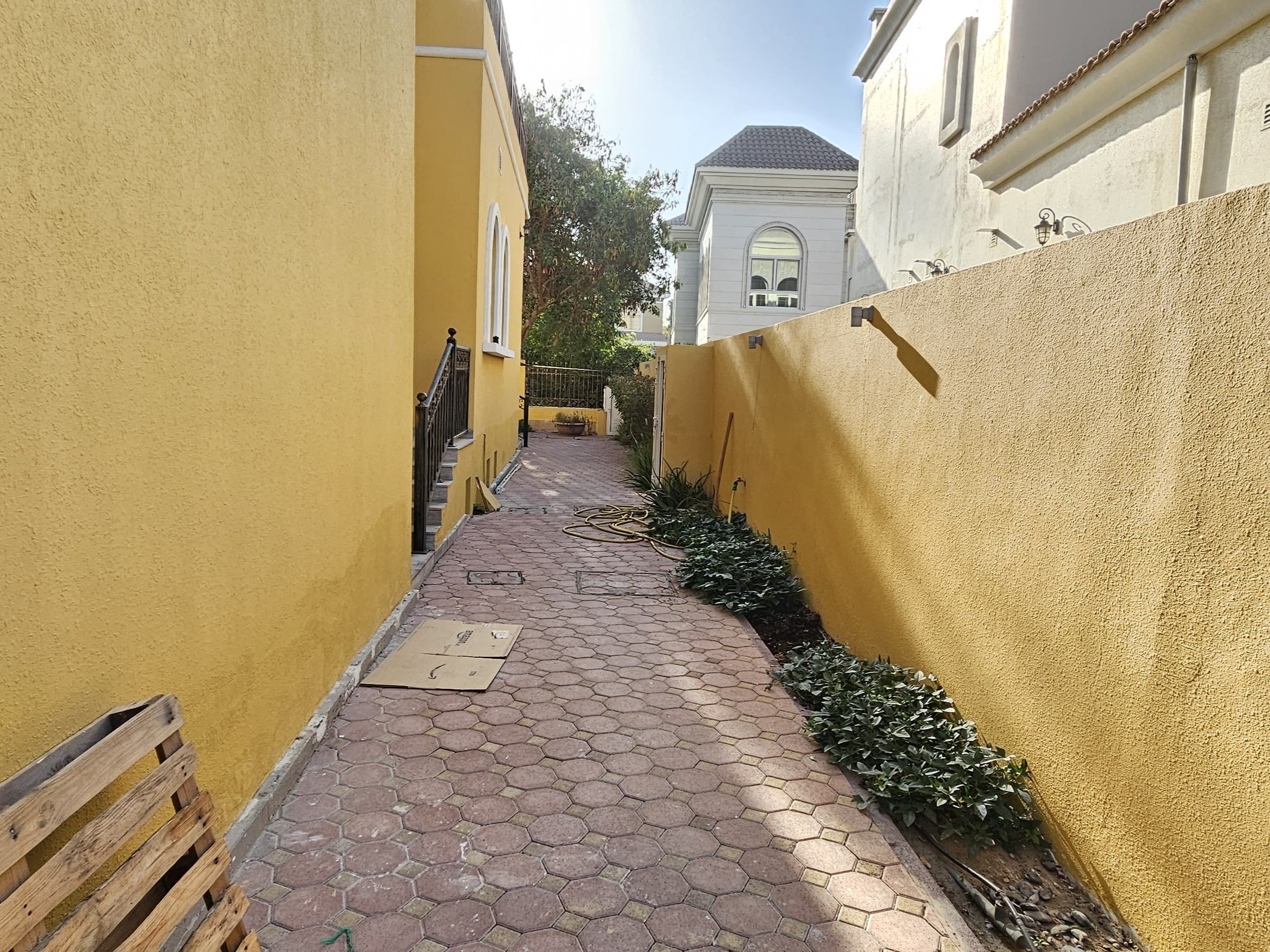 WhatsApp Image 2026-02-13 at 09.55.06